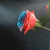 Spray paint for changing real flower color
