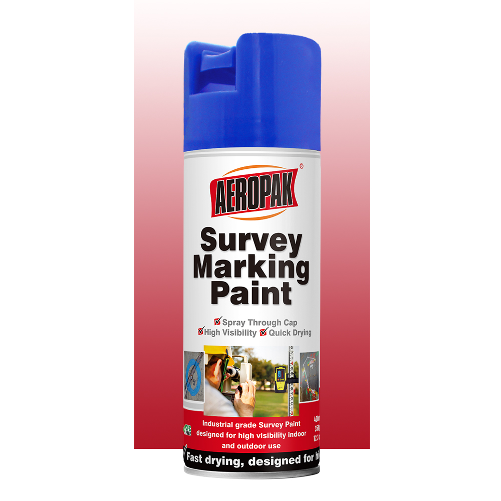 survey paint 4