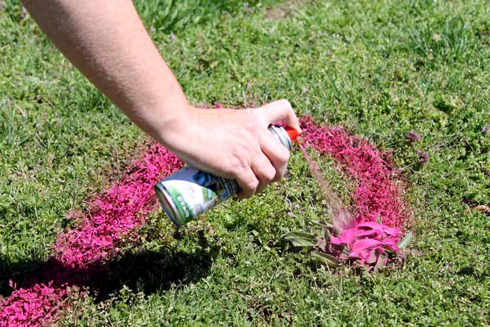 Orange Customized Marking Paint For Landscaping