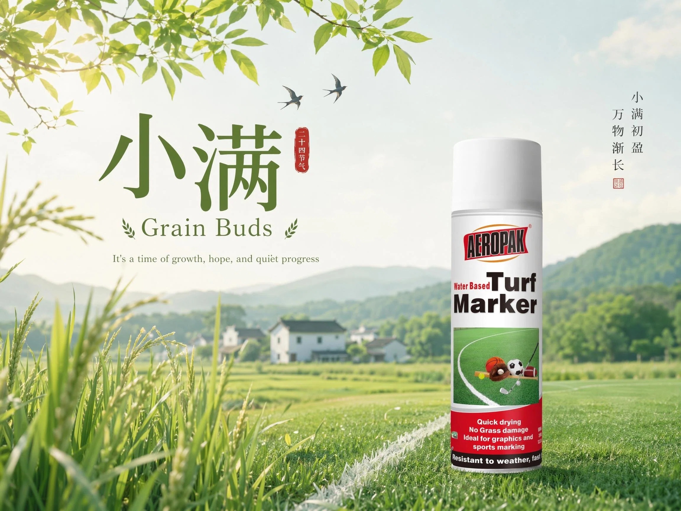 小满节气.jpg